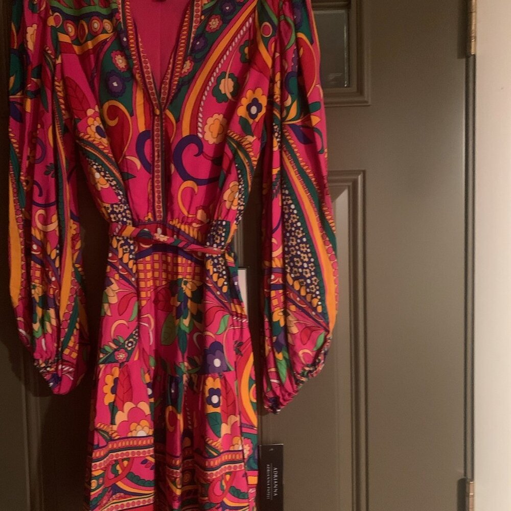 Adrianna Papell ShirtDress - Picture 8 of 11